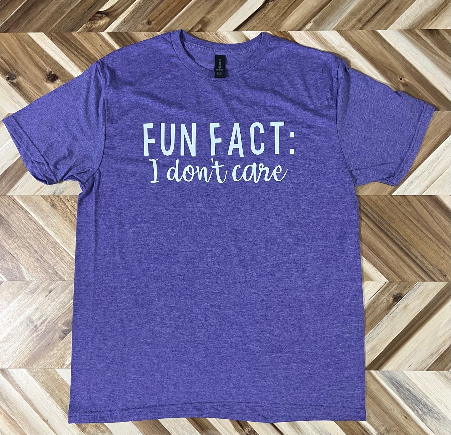 Fun Fact: I Don't Care T-Shirt