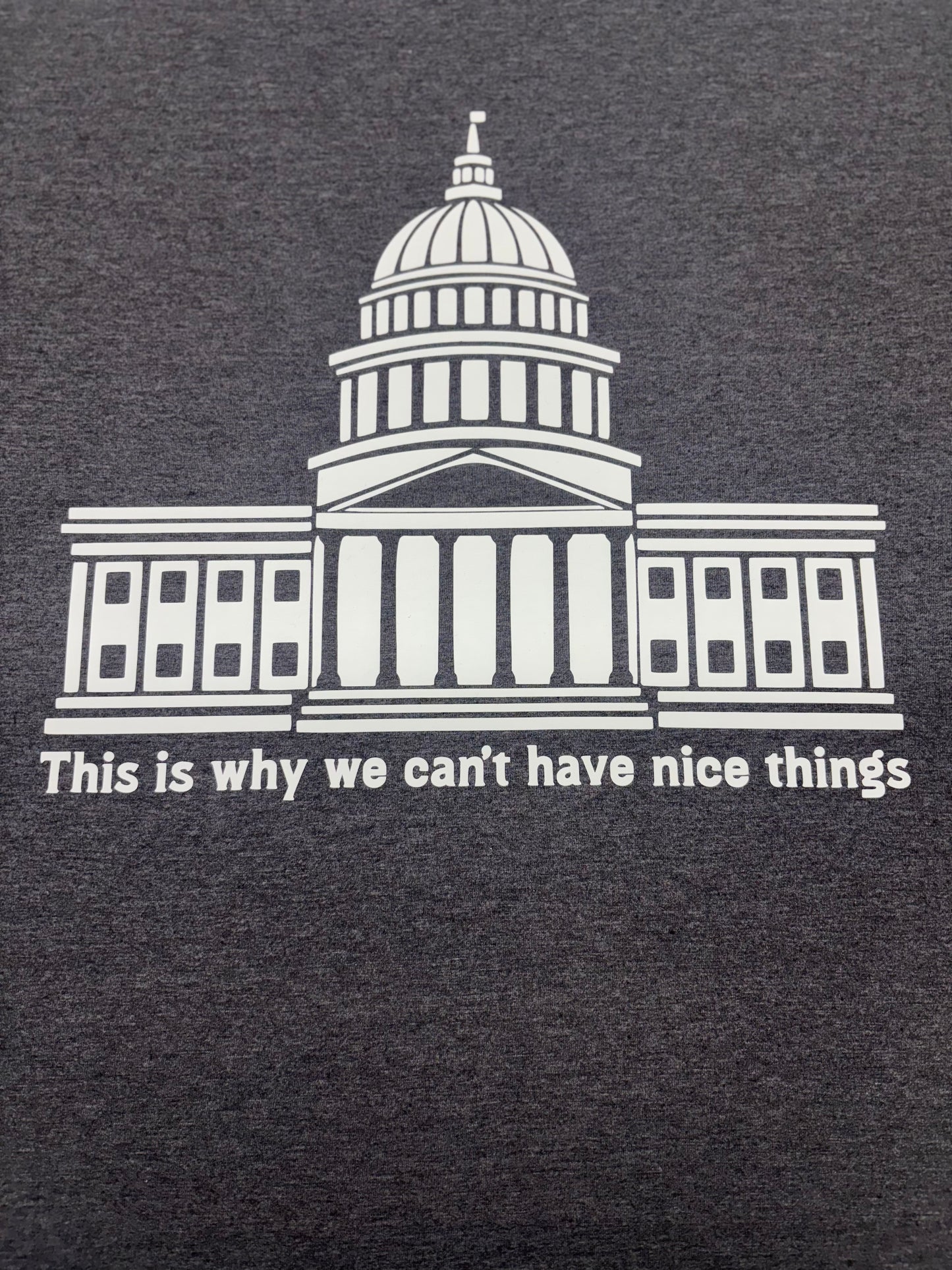 This is why we can't have nice things T-Shirt