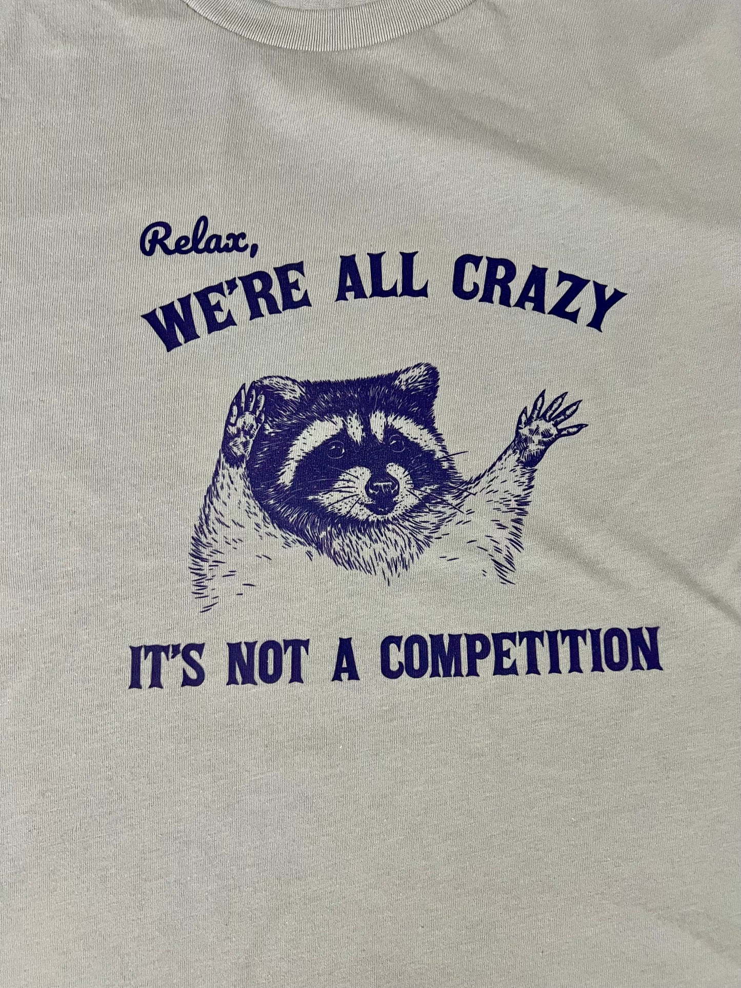 Relax, We're all crazy It's not a competition raccoon tee shirt