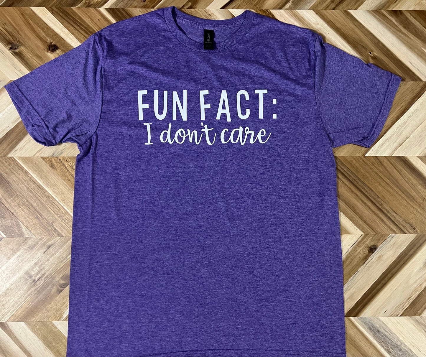 Fun Fact: I Don't Care T-Shirt