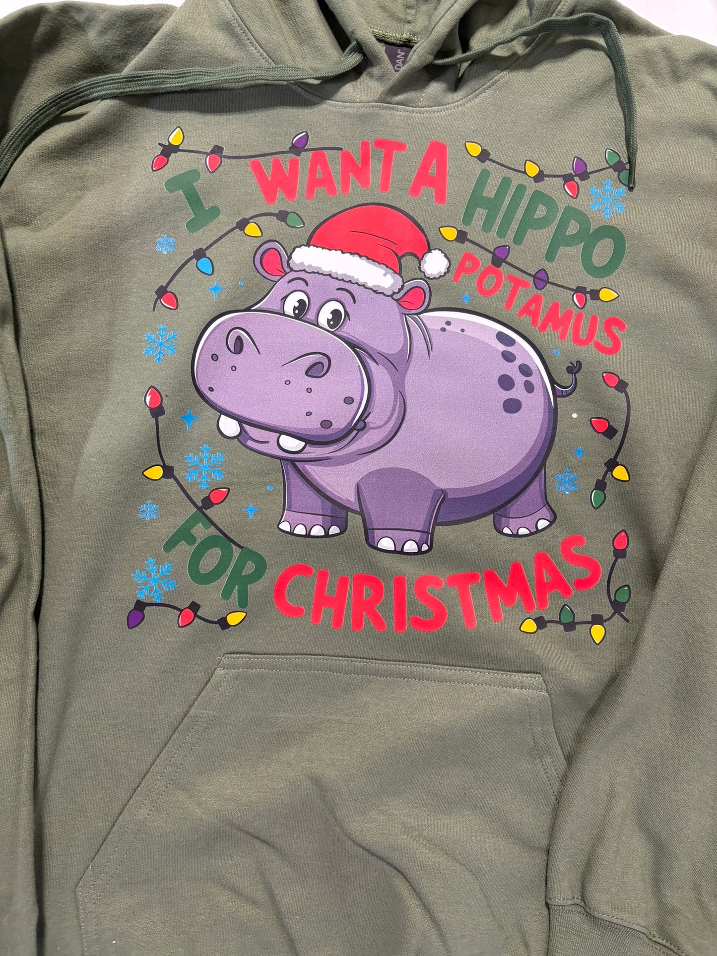 I want a hippopotamus for Christmas hoodie