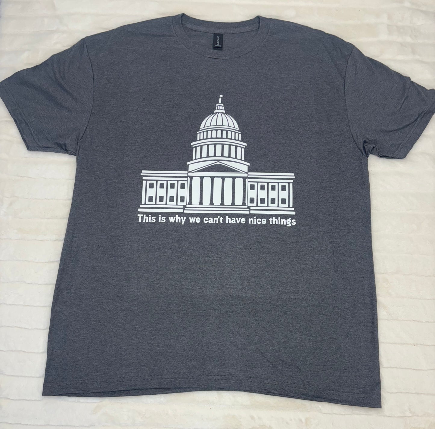 This is why we can't have nice things T-Shirt