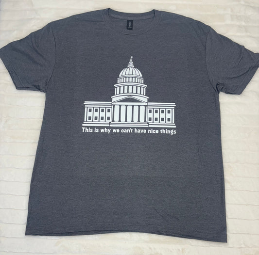 This is why we can't have nice things T-Shirt