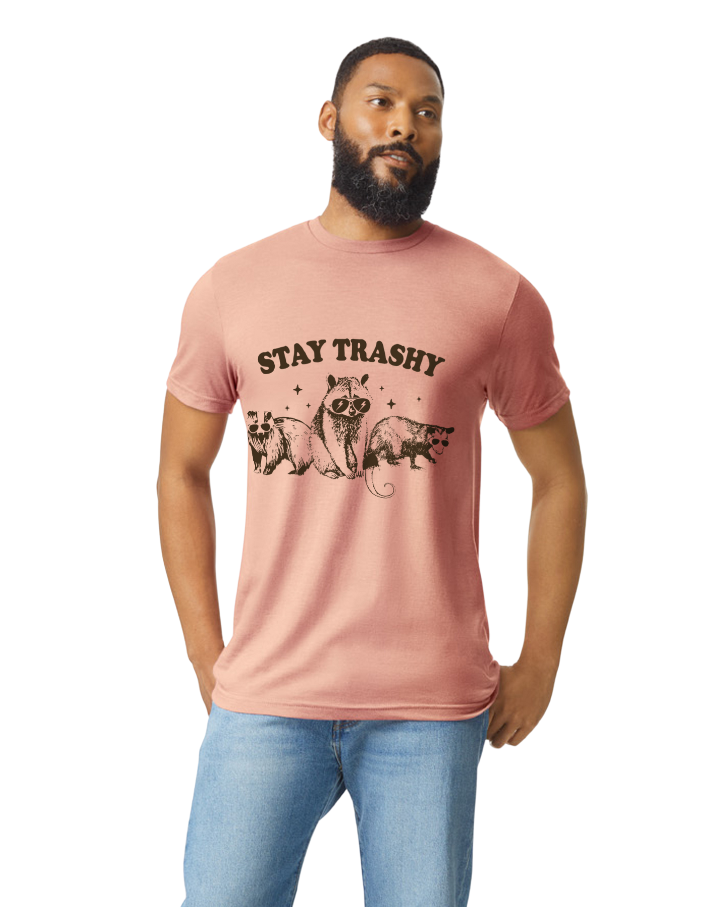 Stay Trashy Raccoon Possum Skunk T-Shirt